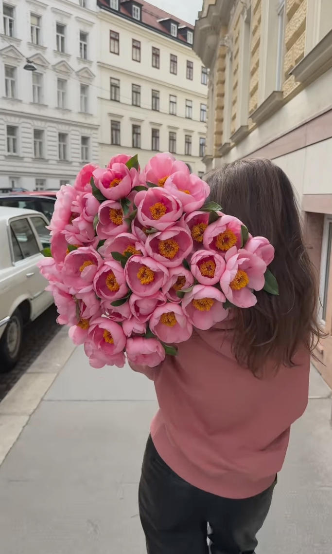 Video laden: