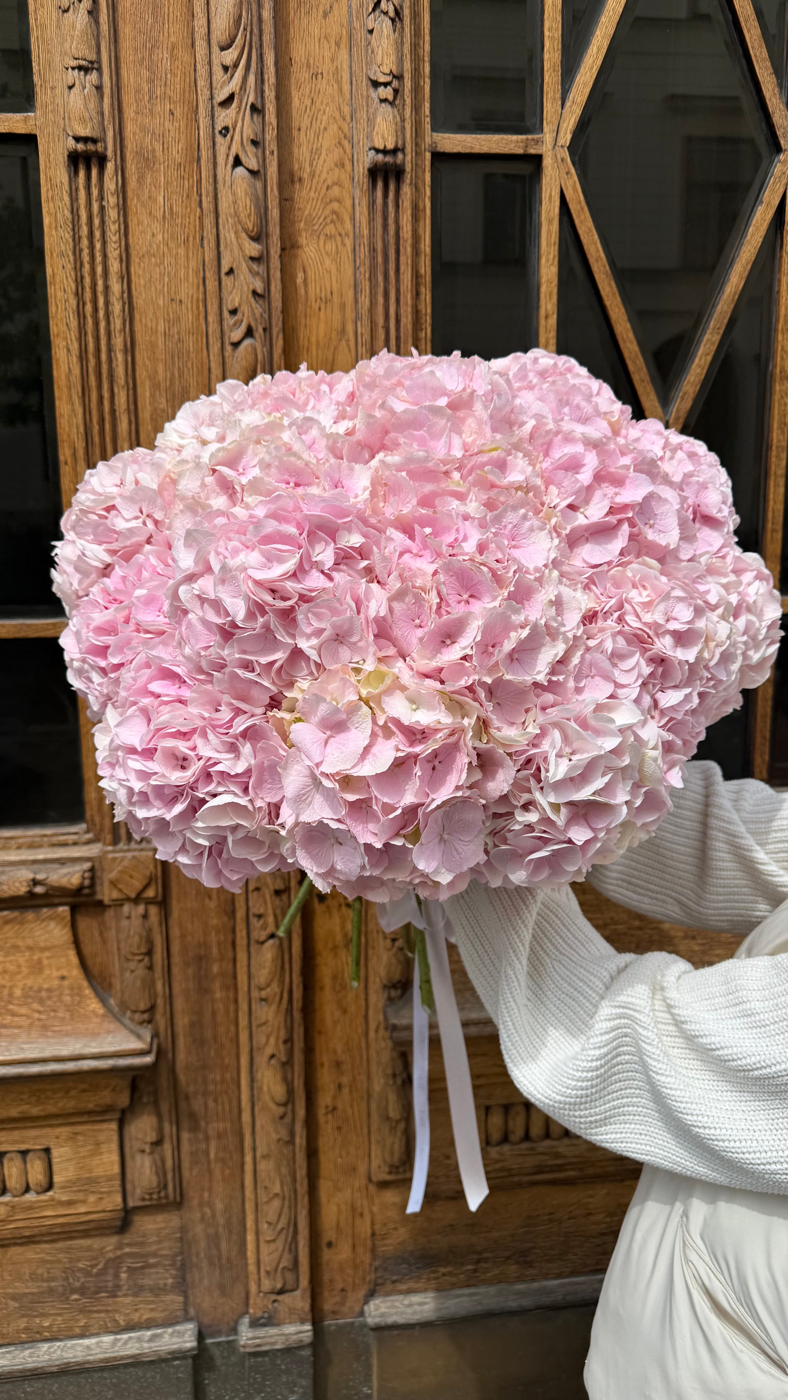 Pink hydrangea